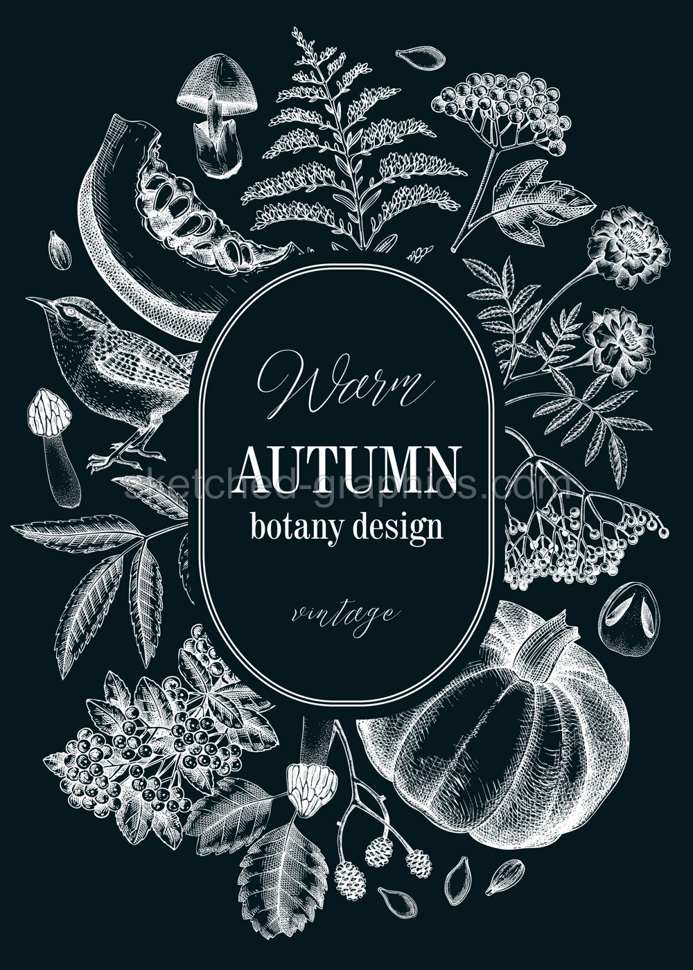 Vintage autumn card design. Thanksgiving background. Fall leaves, pumpkins, berries, mushrooms sketches on chalkboard. Hand-drawn vector illustration. NOT AI generated Illustration